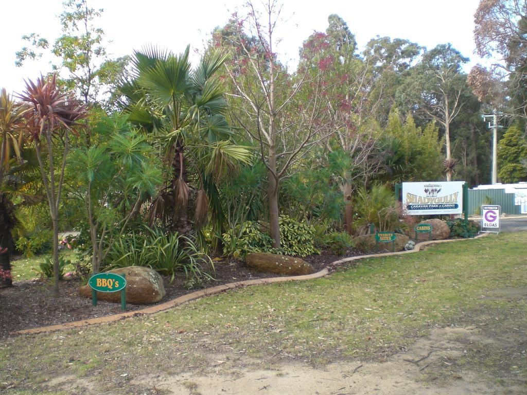 Mallacoota'S Shady Gully Caravan Park Exteriör bild