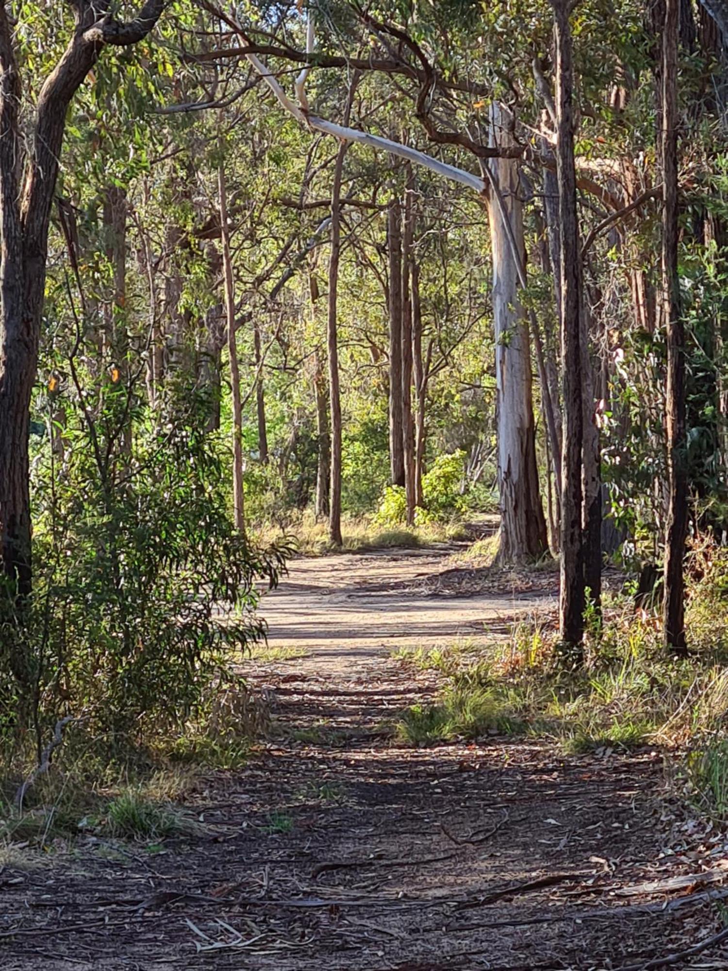 Mallacoota'S Shady Gully Caravan Park Exteriör bild